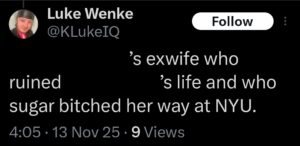 luke wenke katie obsession tweet twitter x screenshot 2025
