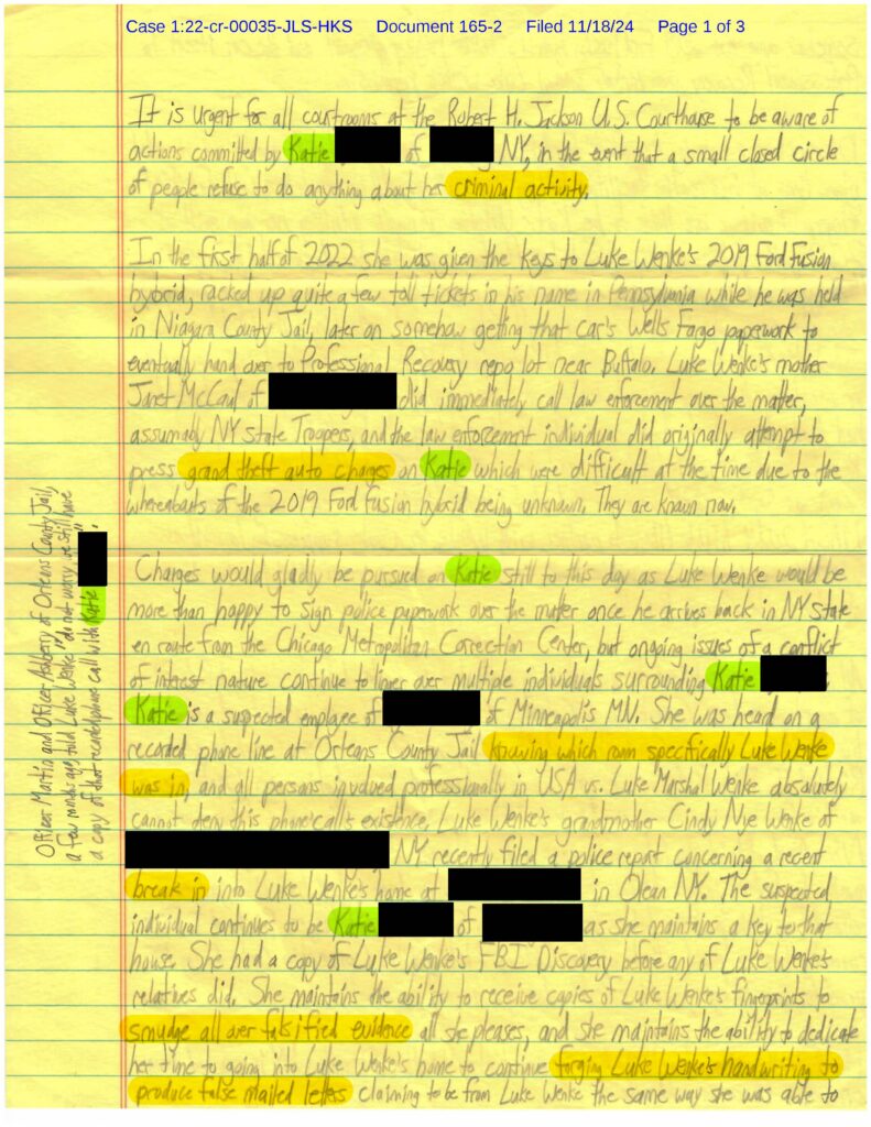 A letter from Luke Wenke to the Honorable Richard J. Arcara; 11/18/2024.