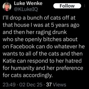 luke wenke x twitter screenshot katie obsession cats 2025